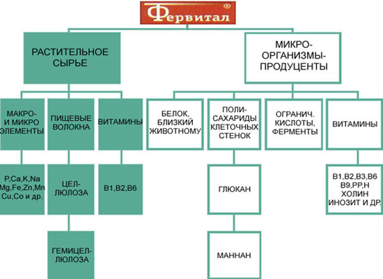 блок-схема
